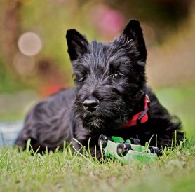 Neighbors’ Good Deed Was Selfless Act of Kindness Image